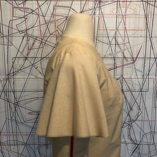 Sleeves for the tailor bust image number