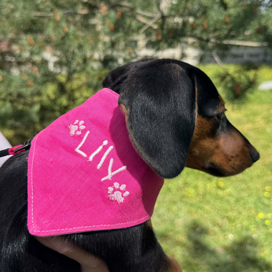 N&auml;hen f&uuml;r Vierbeiner - Bandana f&uuml;r Hunde image number