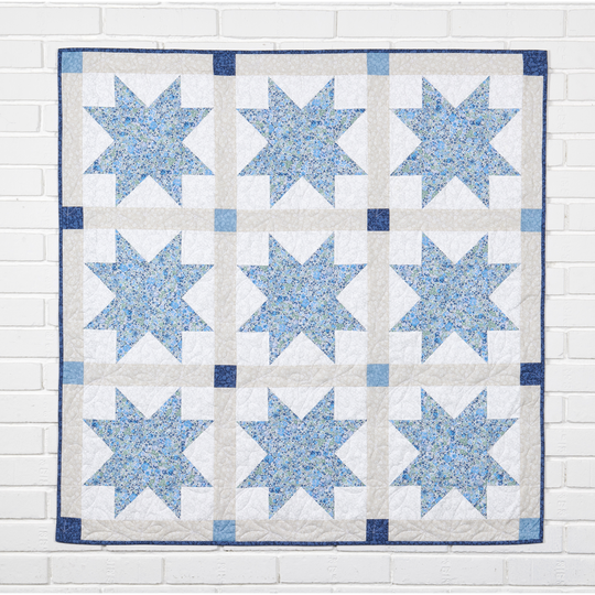 BERNINA 495 Liberty Edition image number