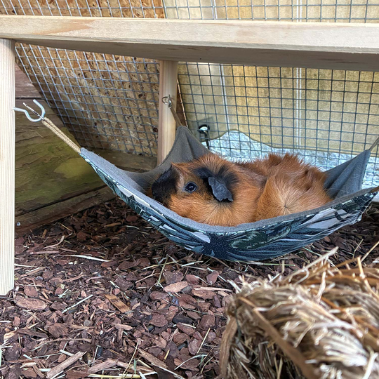 N&auml;hen f&uuml;r Vierbeiner - H&auml;ngematte f&uuml;r Meerschweinchen image number